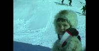 Children skiing in Qaqortoq 1