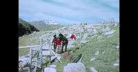 Picnic in Southern Greenland
