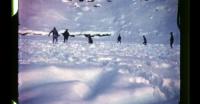 Winter sports in Qaqortoq