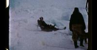 Dogsled in Northern Greenland